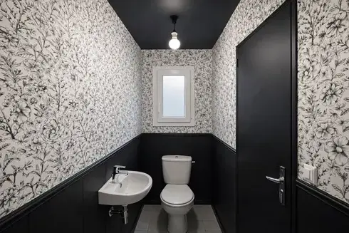 démoussage de toiture à Chemillé-en-Anjou - image 2